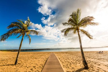 güzel beyaz kum plaj