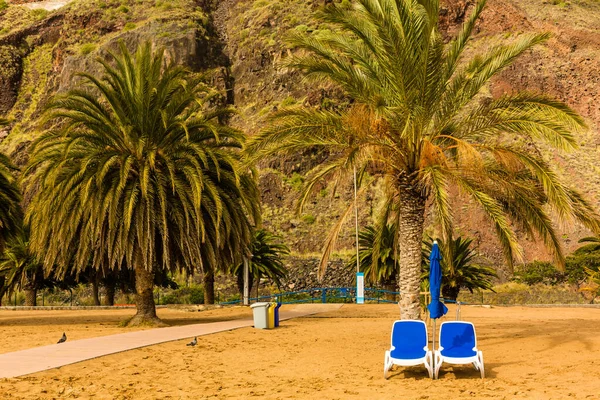 Odpočiň si ve Středozemním moři. Dvě modré lehátka jsou umístěna na slunné mýtině poblíž palem. Tropická příroda v přímořském letovisku. Koncept zdravotní turistiky a plážové rekreace — Stock fotografie