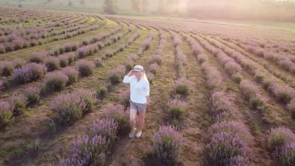 Беспилотник видео свободной и счастливой молодой женщины бегать в розовых и фиолетовых лавандовых полях на закате — стоковое видео