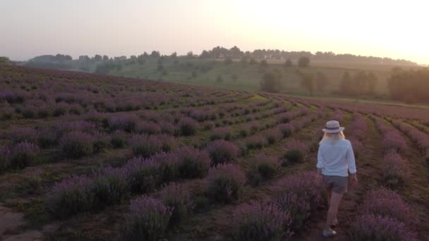 Wandernde Frauen auf dem Lavendelfeld. Romantische Frauen in Lavendelfeldern, die Urlaub machen. — Stockvideo