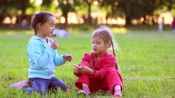 Två små flickor som sitter på gräs. Sommarkul. små flickor leker på fältet — Stockvideo