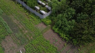 Arı çiftliğinde arı kovanları. Yazın arı kovanında ahşap kovan. Arı yetiştiricisi arıda çalışıyor. Apiculture süreci. Hava görünümü