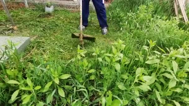 Adam çimleri manuel benzin çim biçme makinesiyle biçiyor. Bahçıvan çim biçme makinesi yeşil çim biçiyor. Bahçe bakımı aletleri. Çim biçme makinesiyle çim biçme işlemi. Yaz, güneşli gün. — Stok video