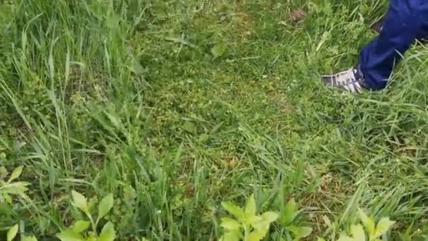 Man met een handmatige grasmaaier maait het gras — Stockvideo