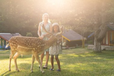 tapılası çocuk çiftlikte geyik besliyor. Hayvanat bahçesinde hayvan besleyen güzel bir bebek. Heyecanlı ve mutlu bir aile haftasonu.