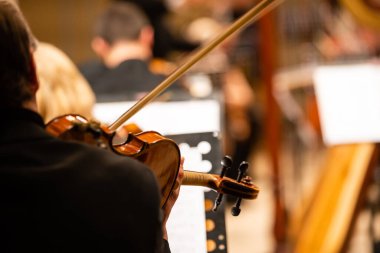 Bir kemanın tellerinde