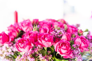 arka plan resmi pembe Gül