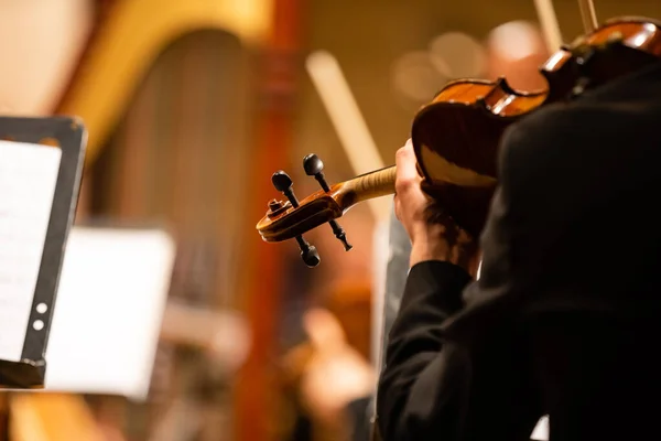 Hand on the strings of a violin — Stock Photo, Image