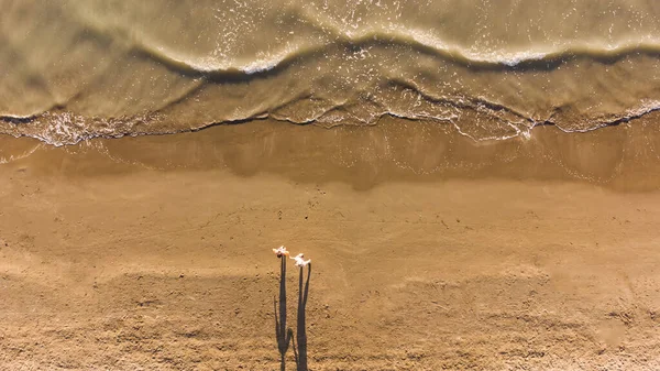 Vista aérea de la playa de arena y olas —  Fotos de Stock