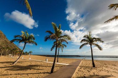 Santa Cruz de Tenerife yakınlarındaki Teresitas sahilinde Kanarya Adaları, İspanya.