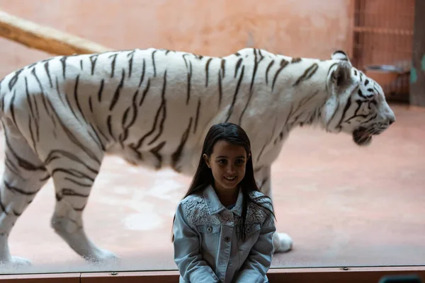 Маленькая девочка и белый тигр за стеклом в зоопарке — стоковое фото