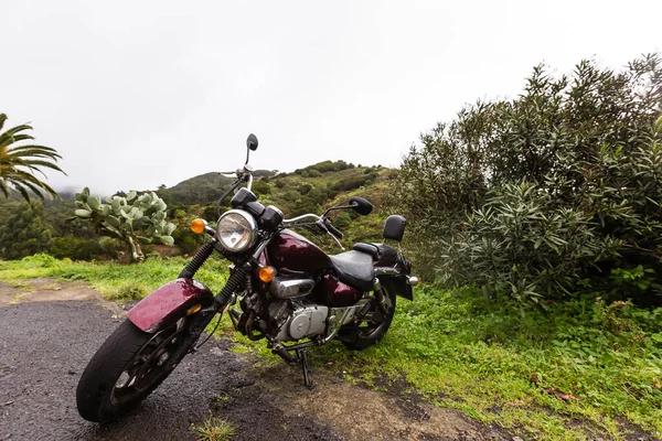 Motos, plage, avec palmiers — Photo