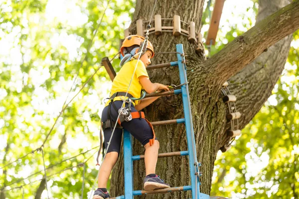 Ağaçlara tırmanan mutlu çocuk. Halat Parkı. Climber çocuğu. Erken çocukluk gelişimi. Roping Parkı. Denge kiriş ve halat köprüler. Halat Park-tırmanış merkezi