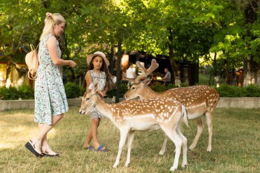 Küçük kız bir ren geyiğiyle duruyor.