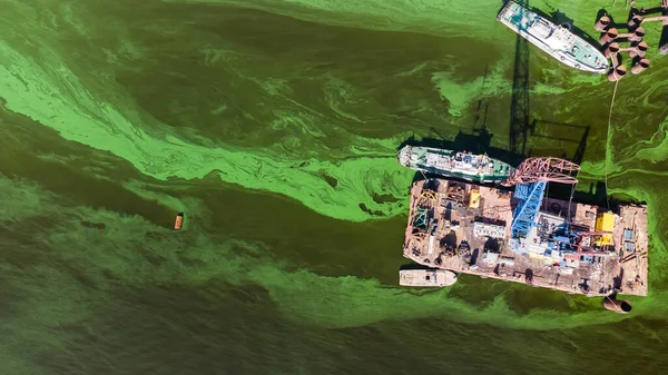 Schmutziger grüner Fluss mit altem Müll — Stockfoto