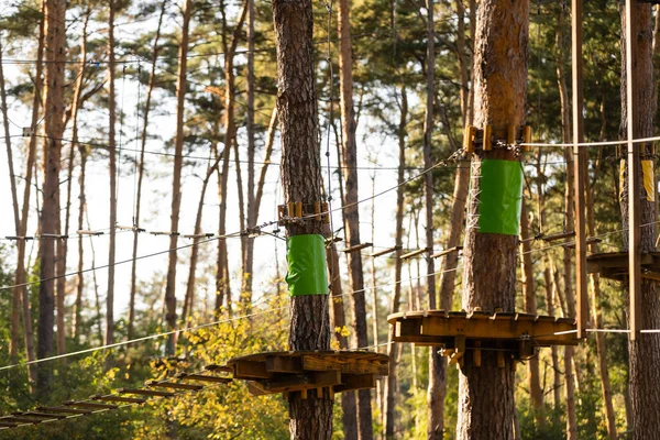 Yüksek telli parka tırmanma macerası - insanlar dağ kaskı ve güvenlik ekipmanları ile rotalarında