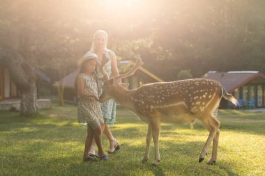 Geyiği besleyen ve ona sarılan genç bir kızın fotoğrafı.