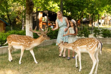Küçük kız bir ren geyiğiyle duruyor.