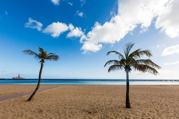 Playa de las teresitas, καναρίνι νησί Τενερίφη, Ισπανία — Φωτογραφία Αρχείου