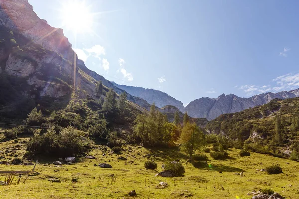 Summer of the Alps mountain austria. — ストック写真