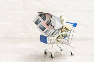 ev modeli alışveriş arabasında ve sözcük ev adresi beyaz arka planda fotokopi alanı ile.