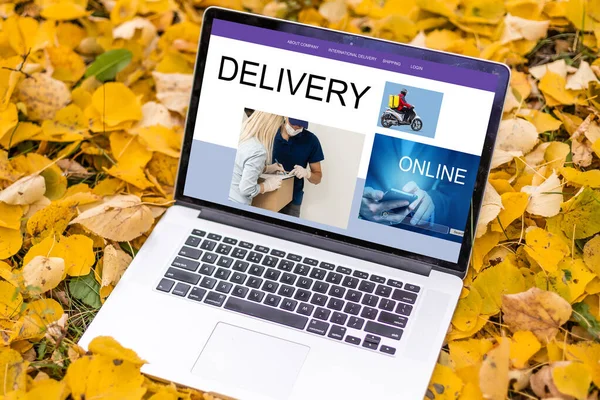 Online winkelen. laptop met banner levering — Stockfoto