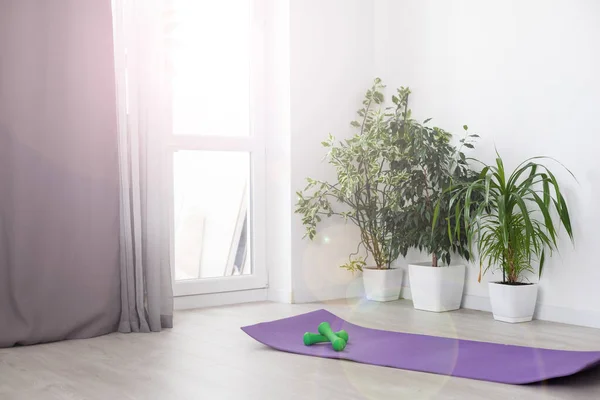 Sport yoga mat, Sport equipment. Concept healthy life — Stock Photo, Image