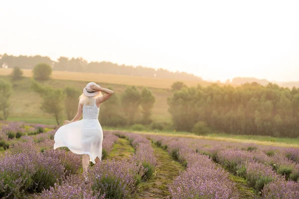 Piękna młoda kobieta w białej sukience spacerująca po środku pola lawendy w rozkwicie — Zdjęcie stockowe