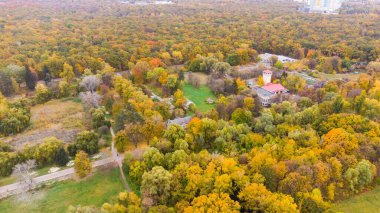 Sonbahar yapraklarının renkli arkaplan resmi mevsimsel kullanım için mükemmel