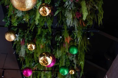 İnci Xmas Bauble ağaçta, toplar ağaçta.