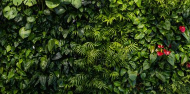 Yeşil yaprak dokusu. Yaprak dokusu arkaplanı