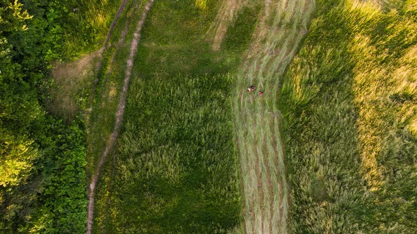 自然の草の質感、公園の空中風景 — ストック写真
