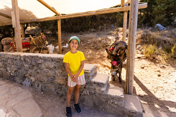 Kleines Mädchen wandert mit Eseln im Kinderferienlager — Stockfoto