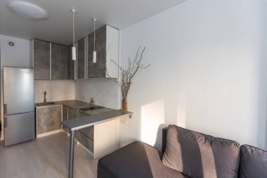 Masalı, sandalyeli, kanepeli modern stüdyo daire..