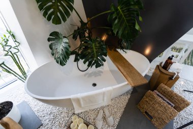 Banyonun içinde yeşil bitkiler var.