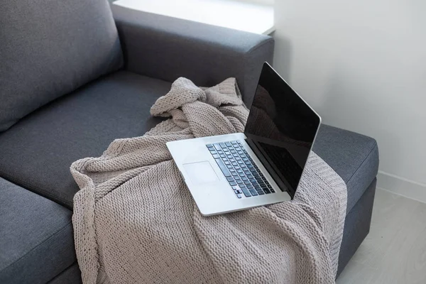 Bärbar dator på grå soffa med filt. Fjärrarbete på hemmakontoret. — Stockfoto