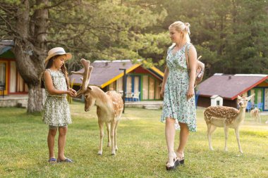 Küçük kız bir ren geyiğiyle duruyor.