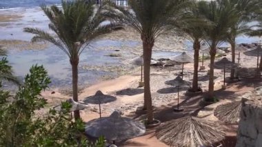 Red Sea'deki/daki harap iskele. Tiran Adası'nda zemin.
