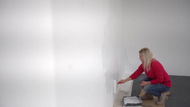 Ferme là. Vue latérale de jolie femme blanche joyeuse seule salle de peinture dans une nouvelle maison. Belle femme rénovation mur de peinture à la maison à l'aide de brosse à rouleaux redessiner appartement — Video