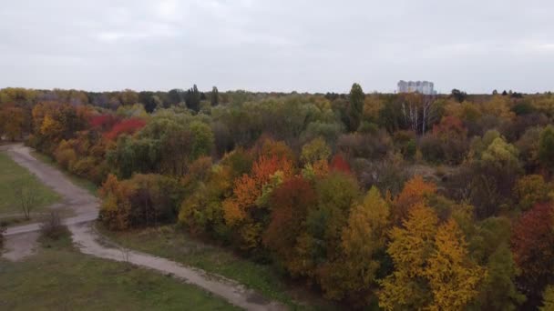 Jesienny krajobraz leśny natury. jesienny las z czerwonymi i pomarańczowymi drzewami. Jesień w parku. — Wideo stockowe