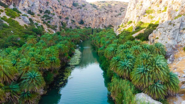 Palmiers près de la rivière verte à Preveli, Crète, Grèce — Photo