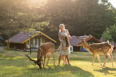 Geyiği besleyen ve ona sarılan genç bir kızın fotoğrafı.