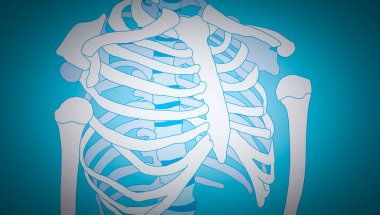 İskelet anatomisi x-ray görüşünde. İzole edilmiş düz çizim. Tıp, eğitim veya bilim afişi.