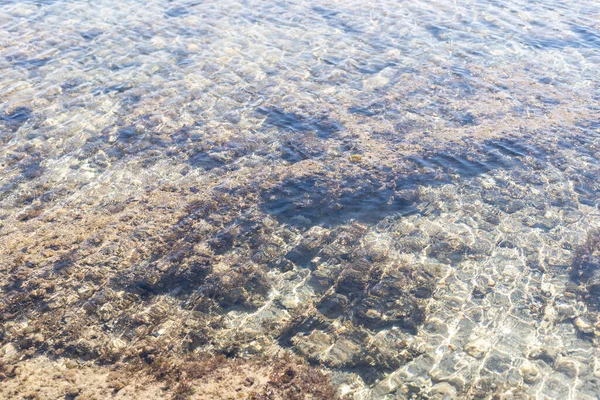 Mrtvý korál na pláži nebo na pobřeží v šedé a hnědé barvě. Textura a vzor tropické pláže pozadí — Stock fotografie