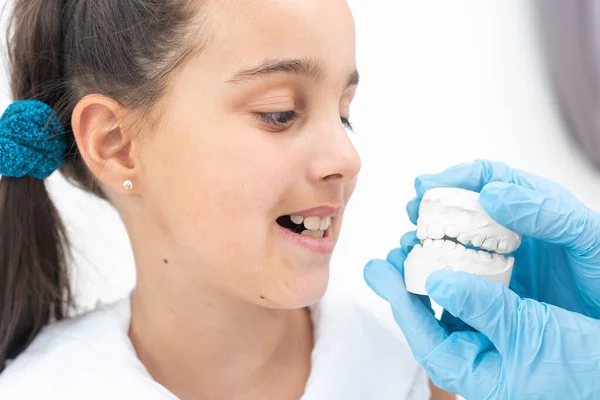 Modelado de dientes artificiales en un modelo de yeso — Foto de Stock