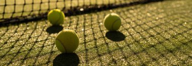 Tenis kortunda tenis topu