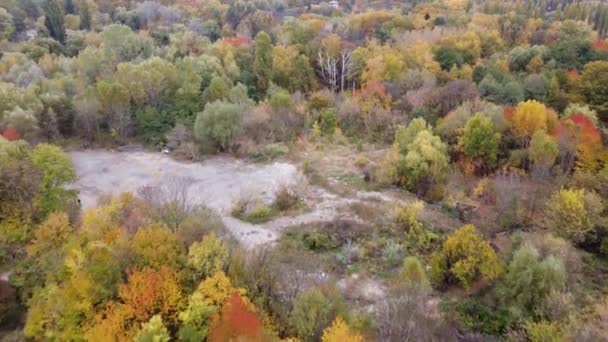 Sonbahar ormanı insansız hava aracı görüntüsü — Stok video