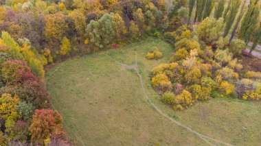 Sonbahar yapraklarının renkli arkaplan resmi mevsimsel kullanım için mükemmel