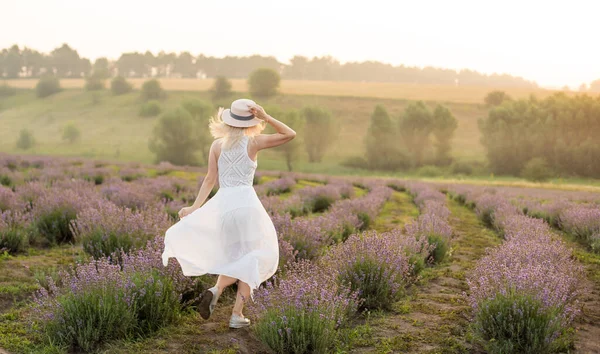 Piękna młoda kobieta w wiklinowym kapeluszu i białej sukience w lawendowym polu z — Zdjęcie stockowe