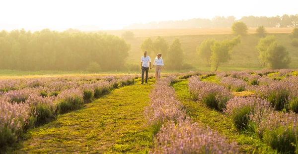 ラベンダー畑の美しいカップル — ストック写真